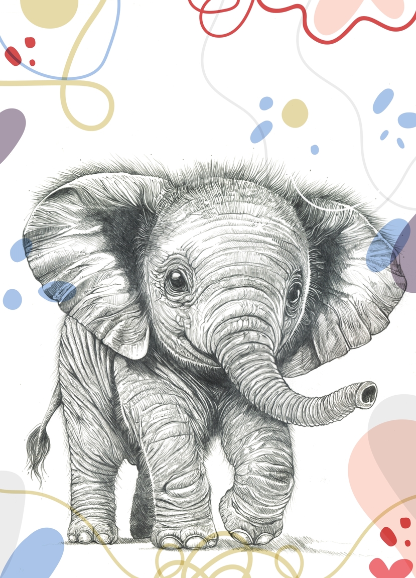 Lebo Tladi's graphite drawing of a baby elephant